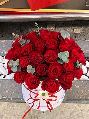 Kutuda 21 Krmz Gl